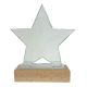 GLASS STAR AWARD WITH A WOODEN BASE 160mm